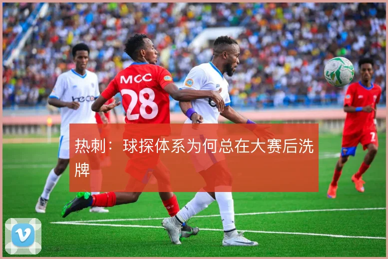 热刺:球探体系为何总在大赛后洗牌
